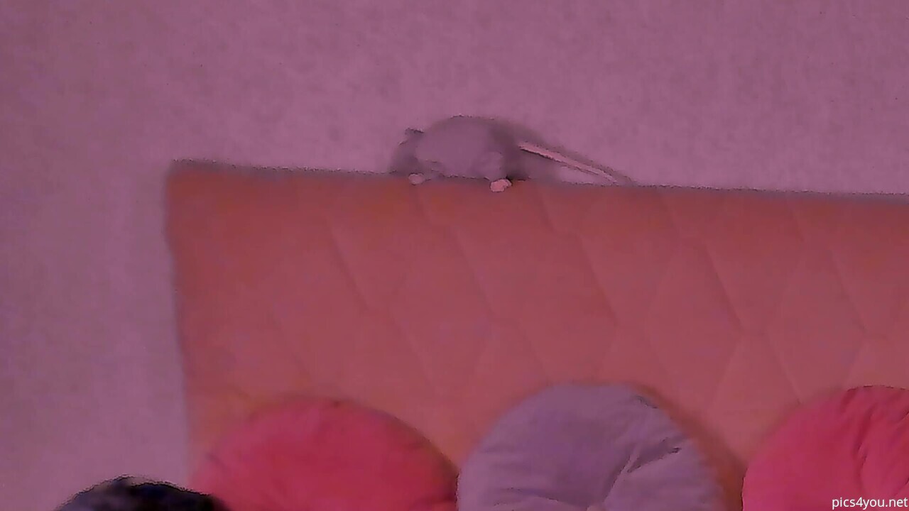Barbara_bb