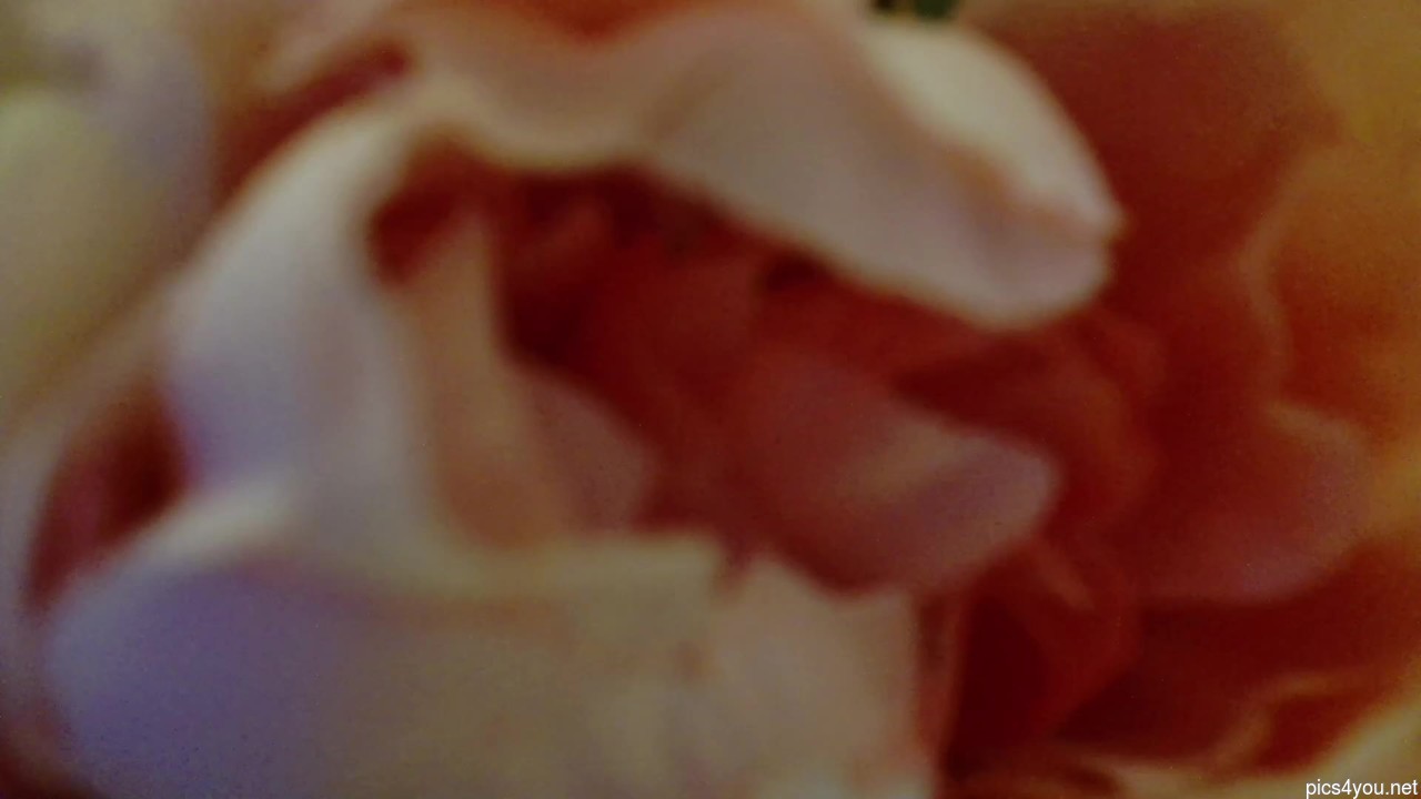 Imcarrieberry