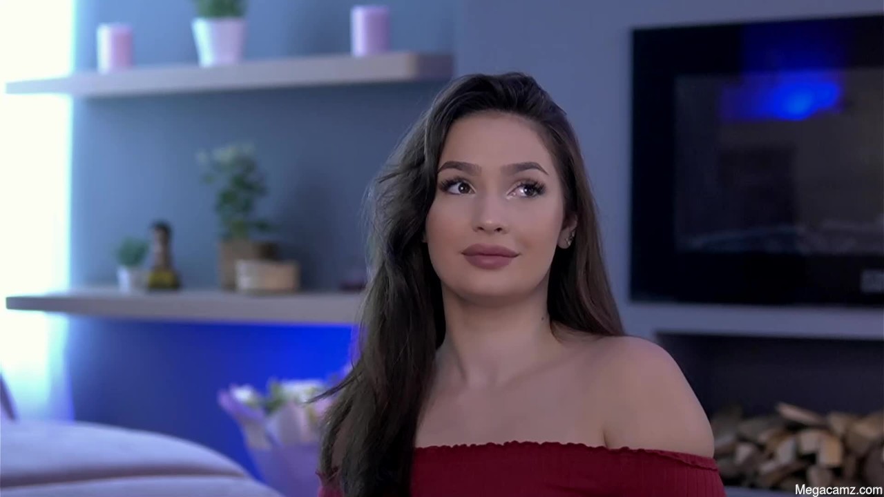 Vixenamour