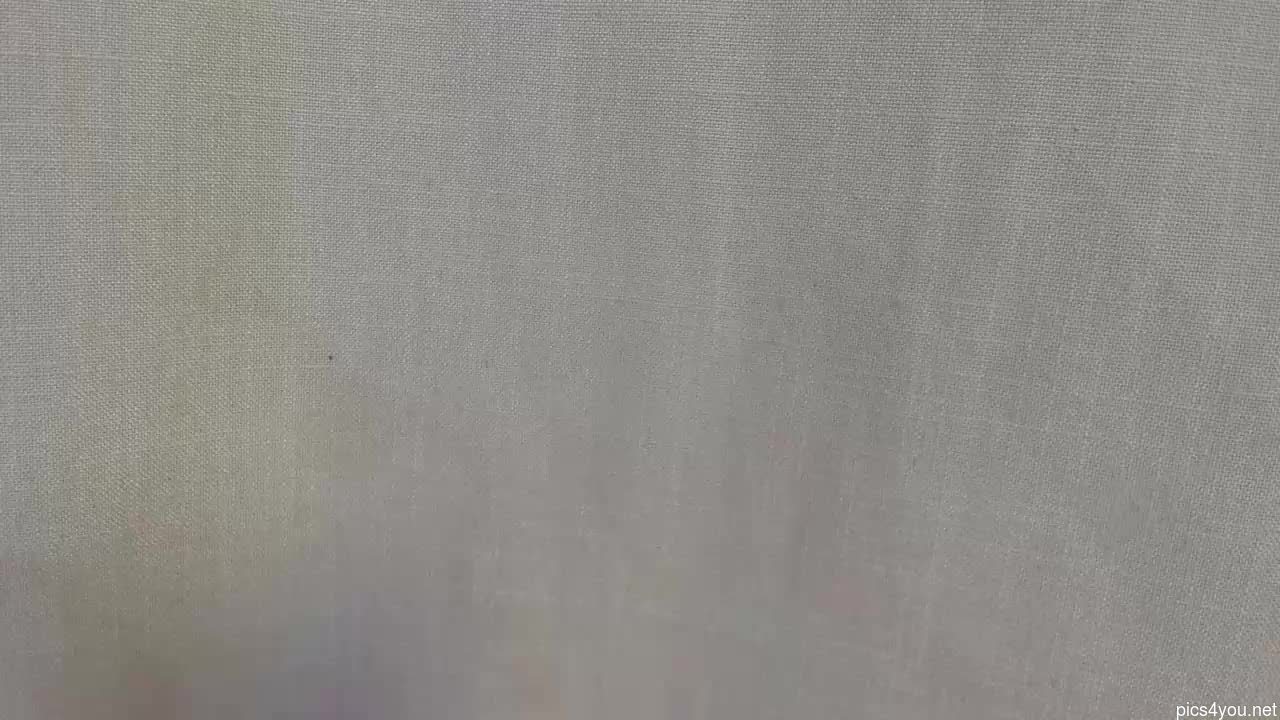 Bella_rose7