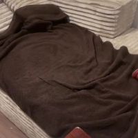 Amiablack25