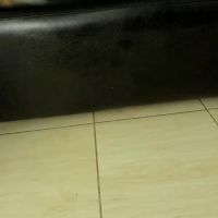 Luna_lynei