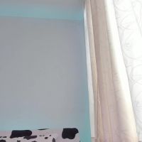 Ambermiller04