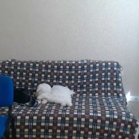Maryana_diamonds