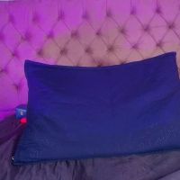 Shelsy_loreds