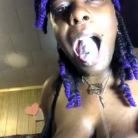 Qnibee