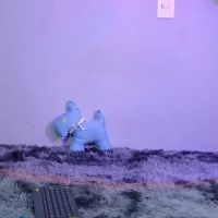 Macey_hairy
