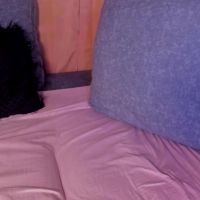 Cataleya0320