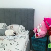 Daniellavas