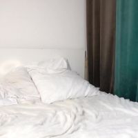 Polly_dollie_