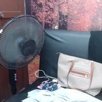 Angelica_pecado