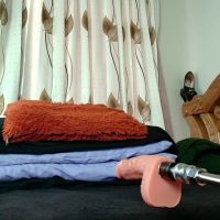 Iris_mandarine