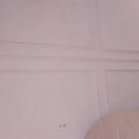 Cataleya0320