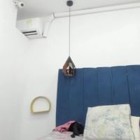 Monalinda220