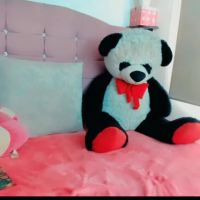 Samy_huber