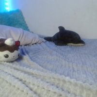 Alice_lacroux