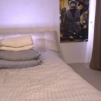 Evelina_fox