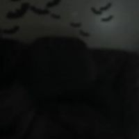 Sugary_sweet