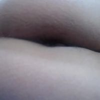 Ana_bullock