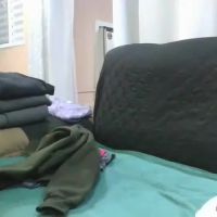 Laylabrasil