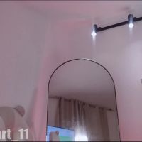 Venus_art11
