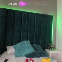 Carolina_evanss
