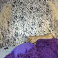 Isabela_latingirl