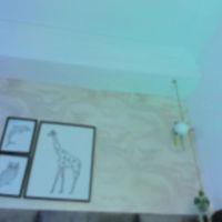Scarlett_vegga