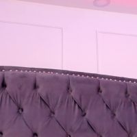 Regina_noctixx