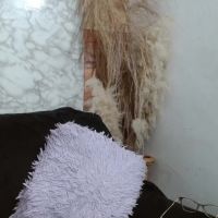 Catalina_santana20
