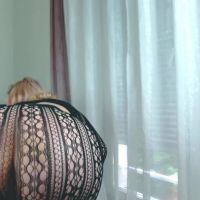 Lexysugar