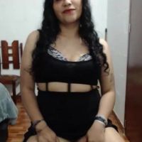 Beautykamelia