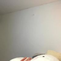 Abby_rosse2