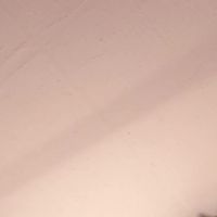 Ariadna_martin