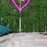 Sam_summer0