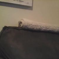 Mommies_mooseknuckle
