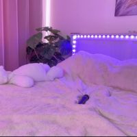 Veronicaleal_
