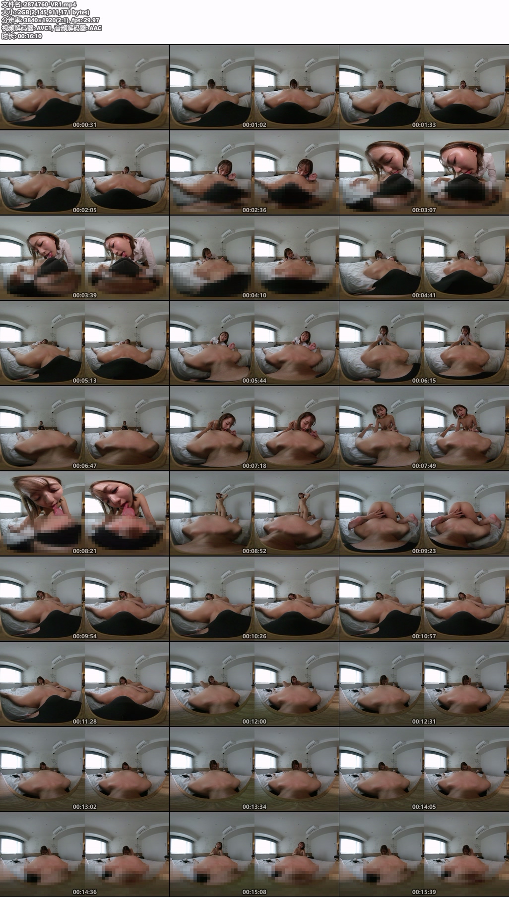 2874760-VR1.mp4.jpg