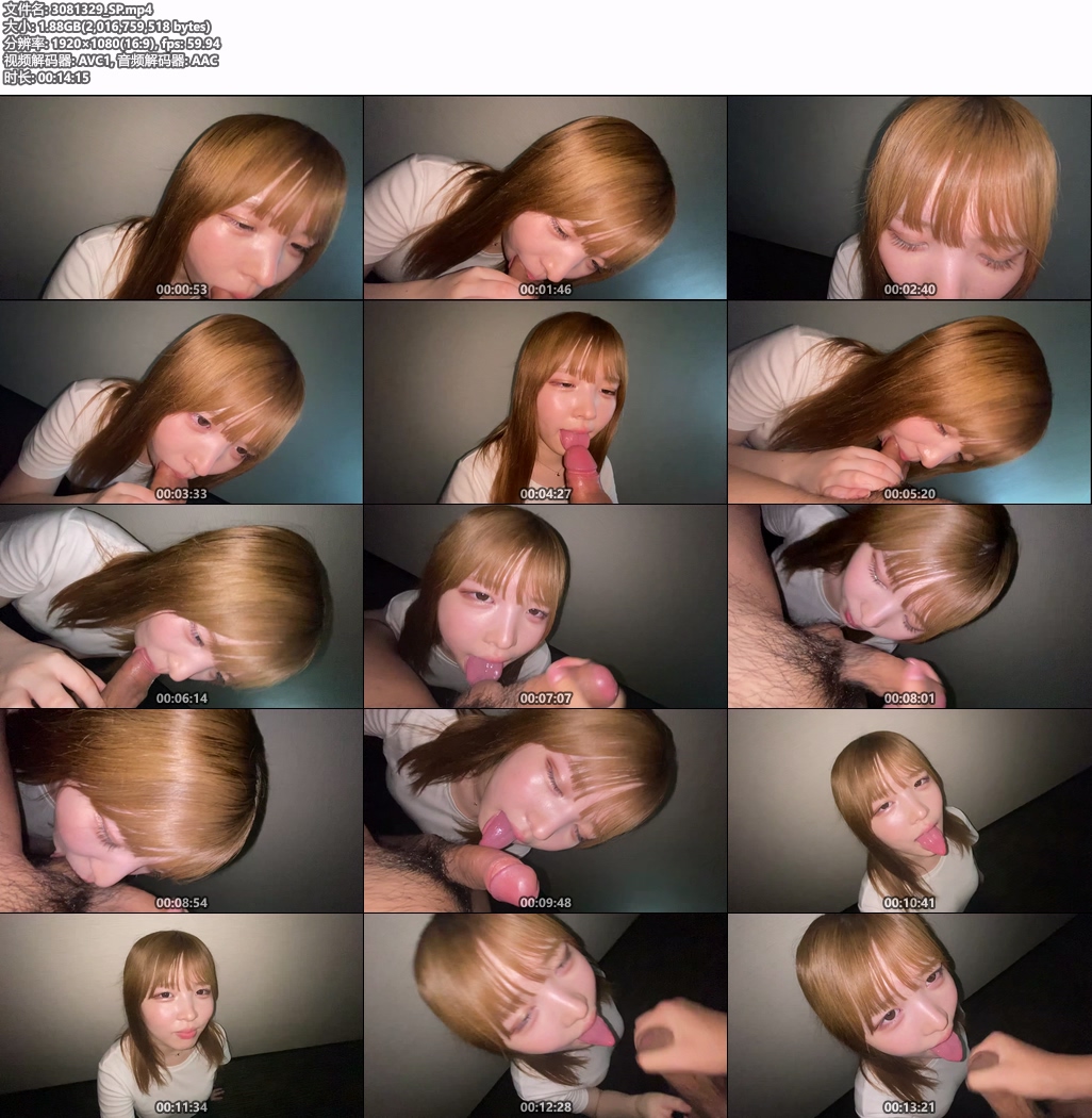 3081329_SP.mp4.jpg