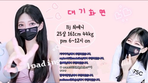 kbj23020201_anystar00.jpg