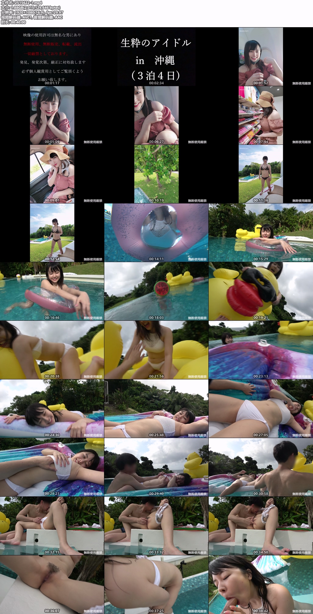 2515622-1.mp4.jpg