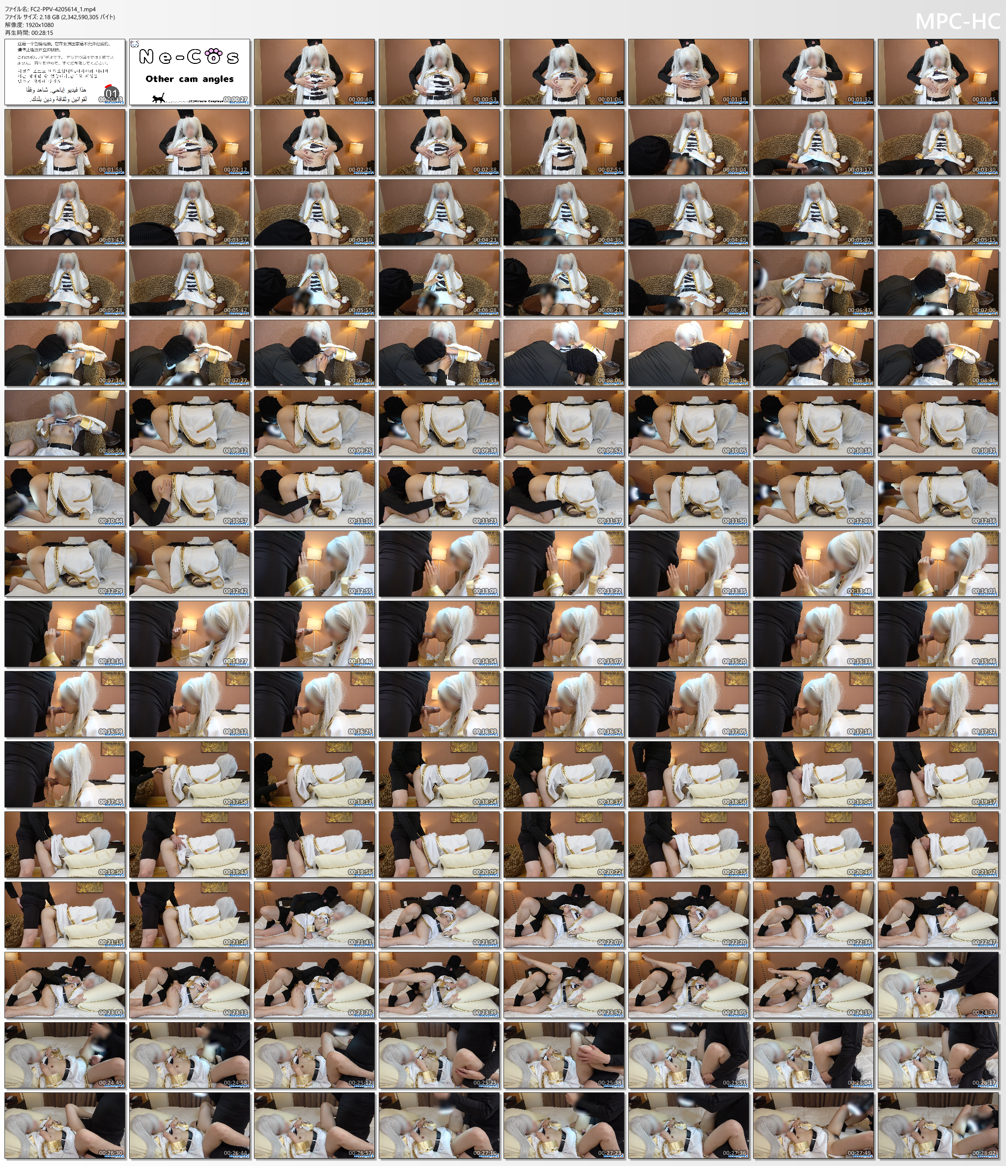 FC2-PPV-4205614_1.mp4_thumbs.png