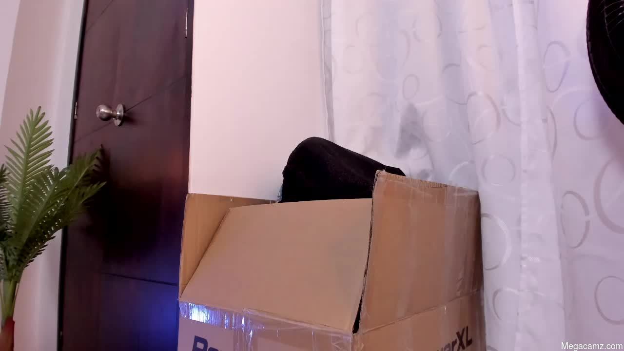 Miagate