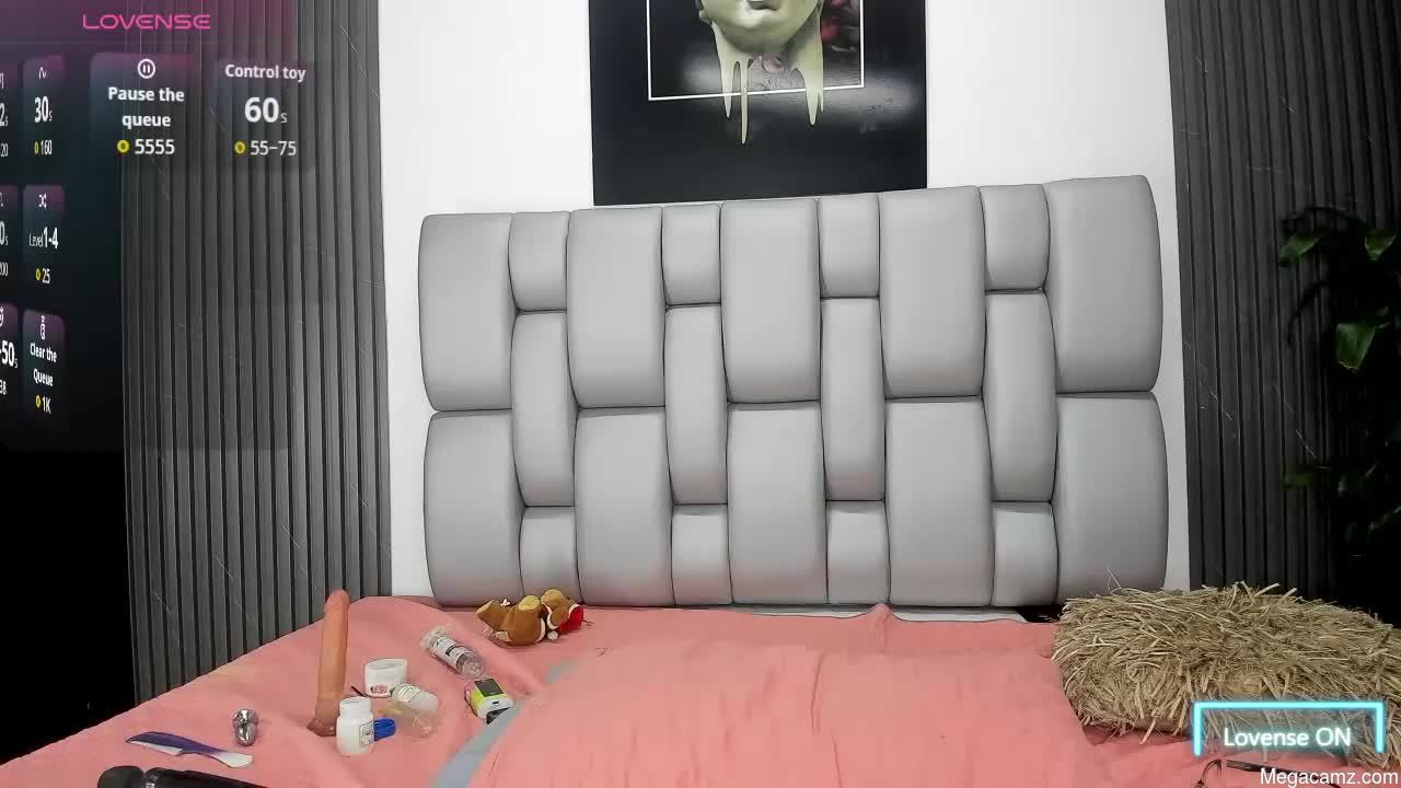 Vahiolet_monnet