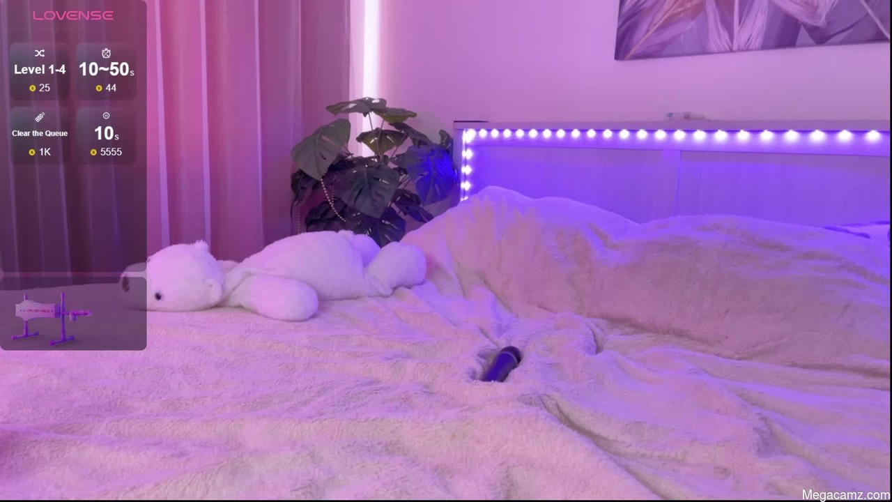 Veronicaleal_