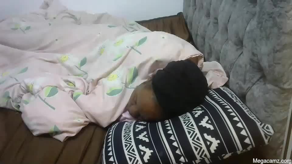 Alexa_3909