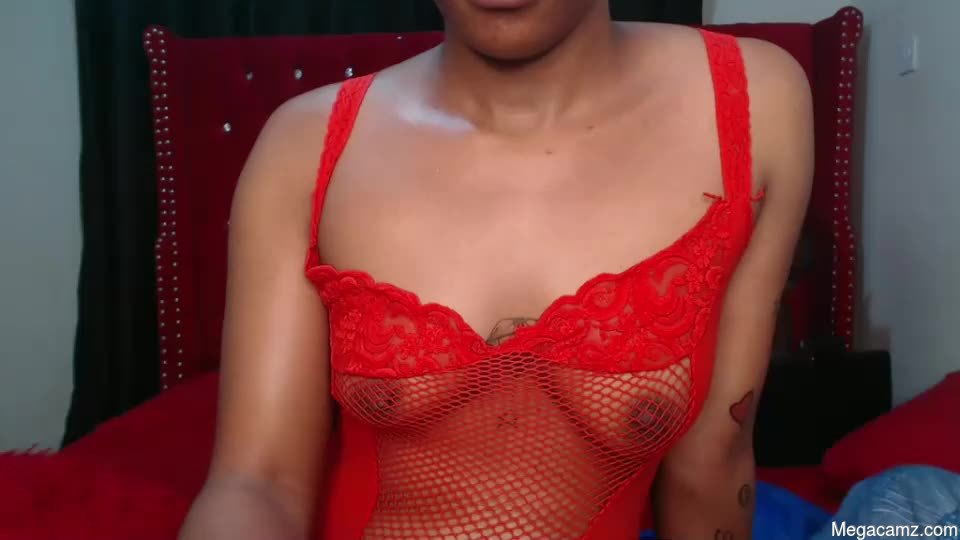Zara_tee